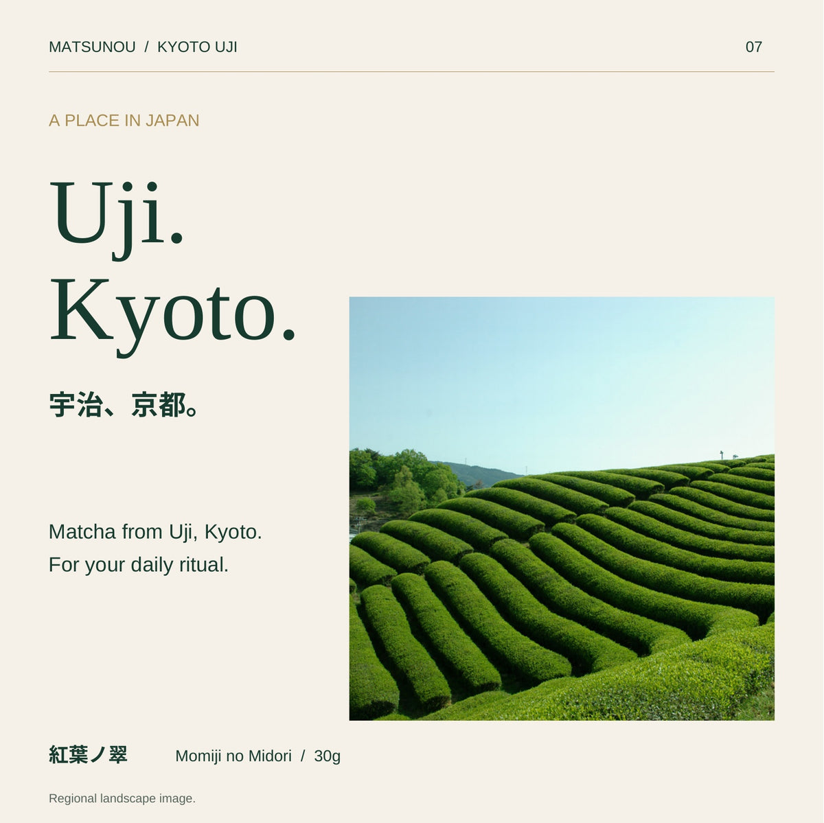 紅葉ノ翠30g：京都・宇治の茶畑の地域紹介