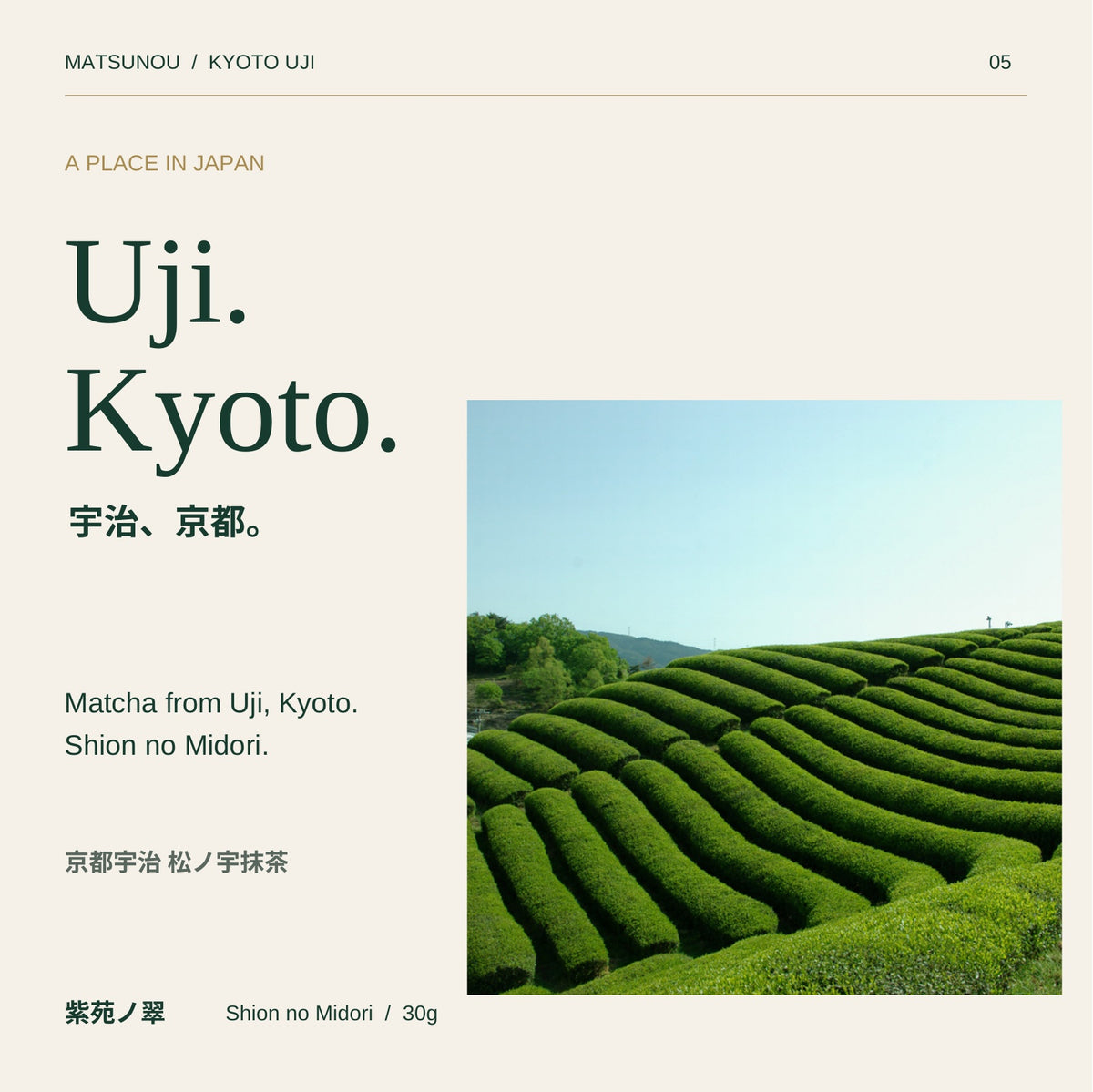 宇治・京都の地域紹介。茶畑の風景イメージ。